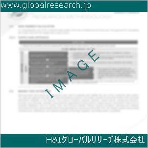 グローバルリサーチ調査資料のイメージ